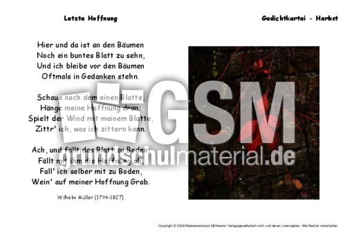 Letzte-Hoffnung-Müller.pdf